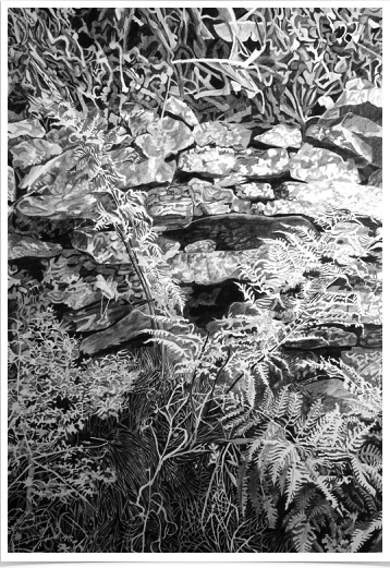 Stone Wall
pencil on paper
29 x 42 cm